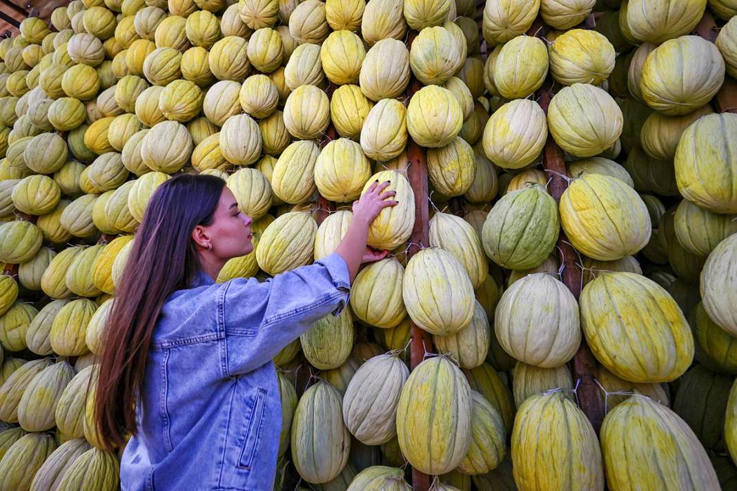 AB onaylı lezzet! Kırkağaç kavunu, kış aylarında da tezgahlarda 13